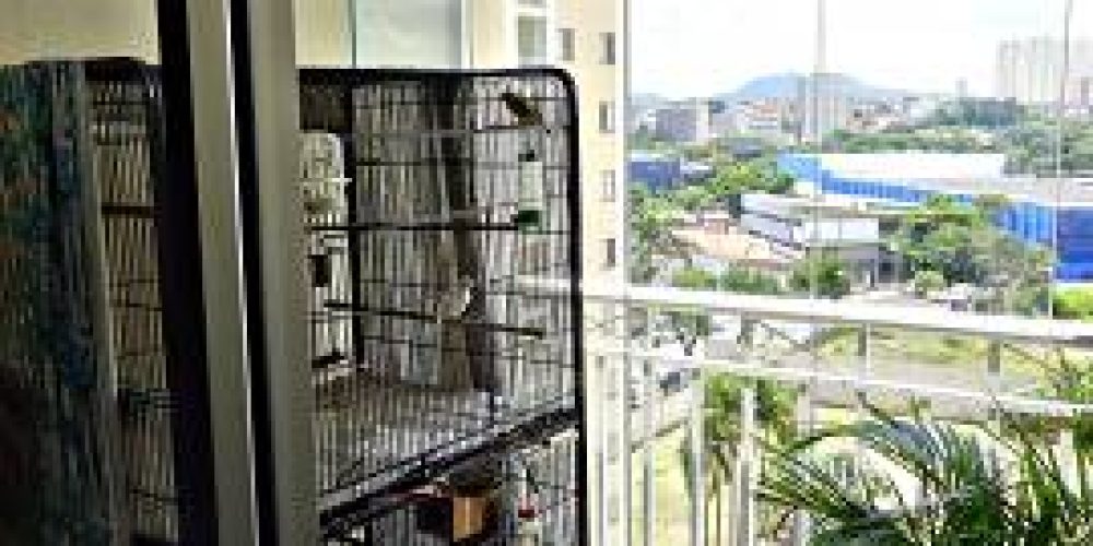 apartamento-com-2-quartos-para-alugar-65m-no-lapa-sao-paulo (7)