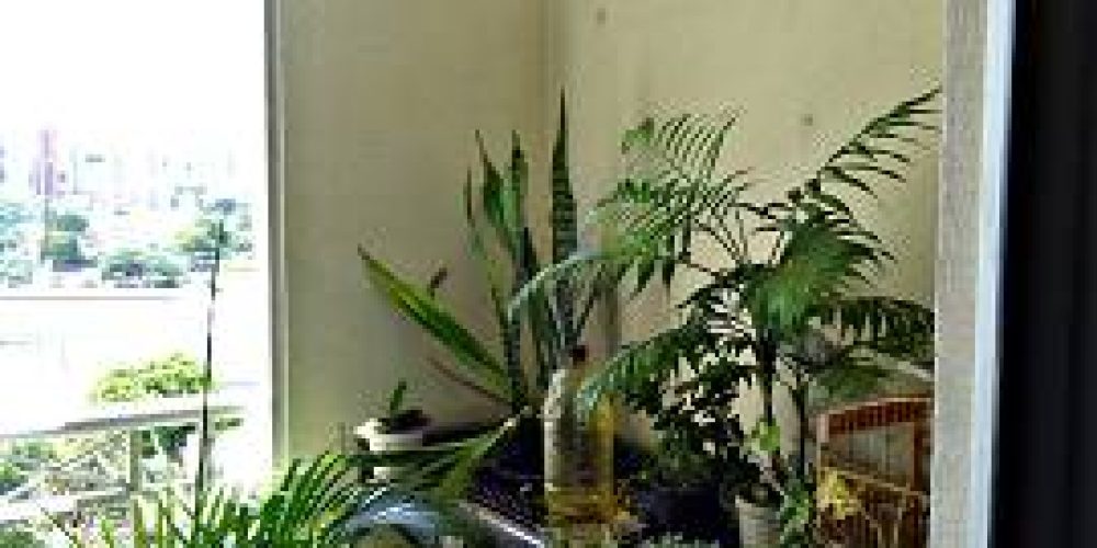 apartamento-com-2-quartos-para-alugar-65m-no-lapa-sao-paulo (8)